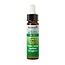 Ladrome Holzapfel/Apfelbaum 33 bio 10 Milliliter