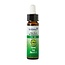 Ladrome Elm 30 Organic 10ml
