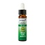 Ladrome Larice/Larch 25 bio 10 Millilitri