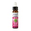Ladrome Wild Oat (Rauhafer) 15 Bio 10 Milliliter