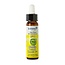 Ladrome Clématite n°11 bio 10 ml