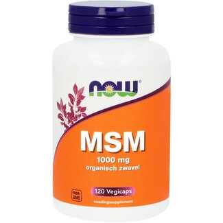 NOW MSM 1000 mg 120 Cápsulas