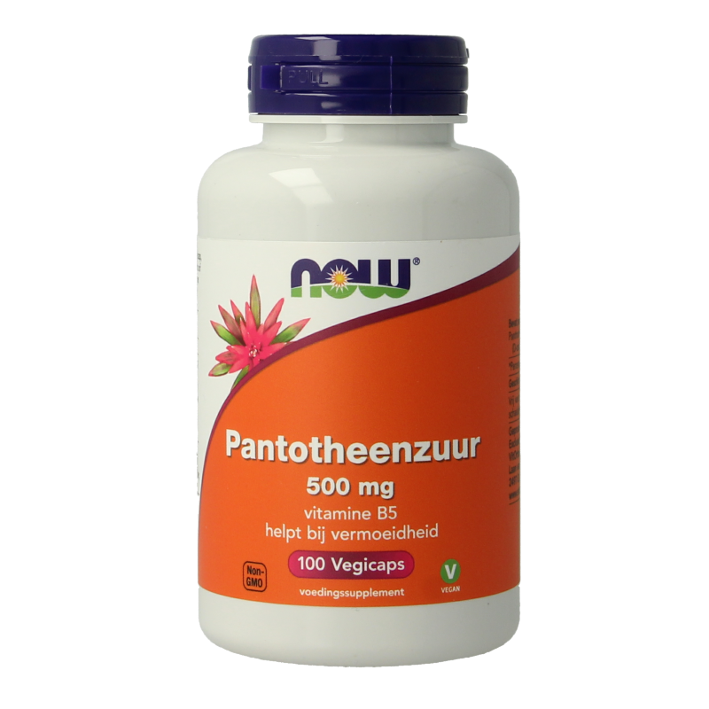 NOW Acido Pantotenico 500mg (B5) - Energia e Benessere