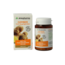 Ginger 45 Capsules