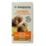 Ginger 45 Capsules