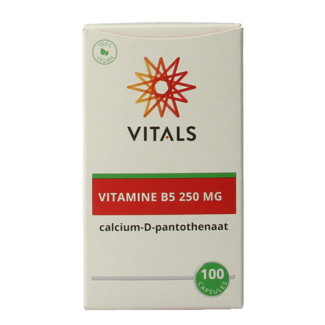 Vitals Vitamin B5 250mg 100 Kapseln