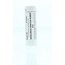 Homeoden Heel Mercurius iodatus ruber D12 6g