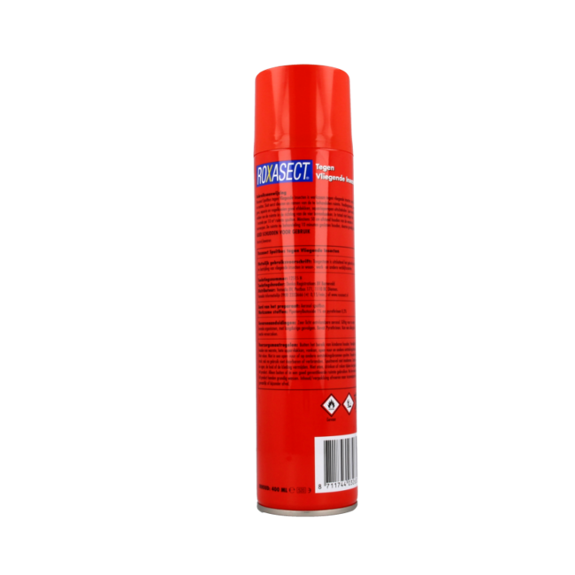 Bomboletta spray insetticida per insetti volanti 400 Millilitri