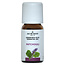 Aceite de Pachulí 10 ml
