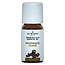 Clove oil 10 Millilitres