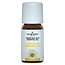 Huile de camomille 5 % 10 ml