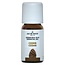 Ceder olie 10 Milliliter