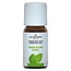 Jacob Hooy Basil Oil 10 Millilitres