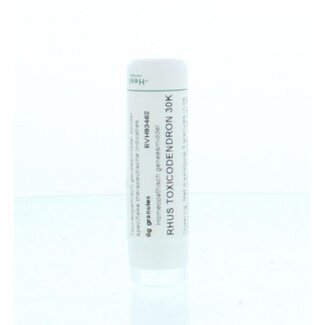 Homeoden Heel Homeoden Heel Rhus toxicodendron 30K 6g