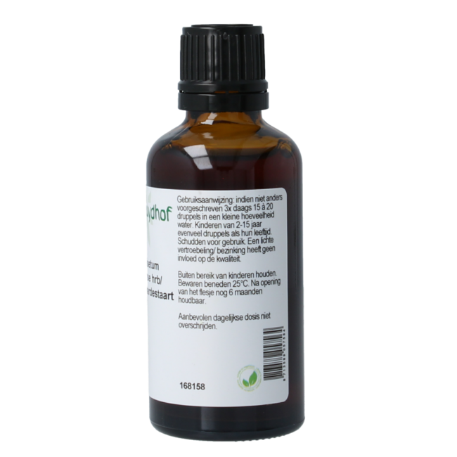 Cruydhof Equisetum arvense / tintura di equiseto 50 Millilitri
