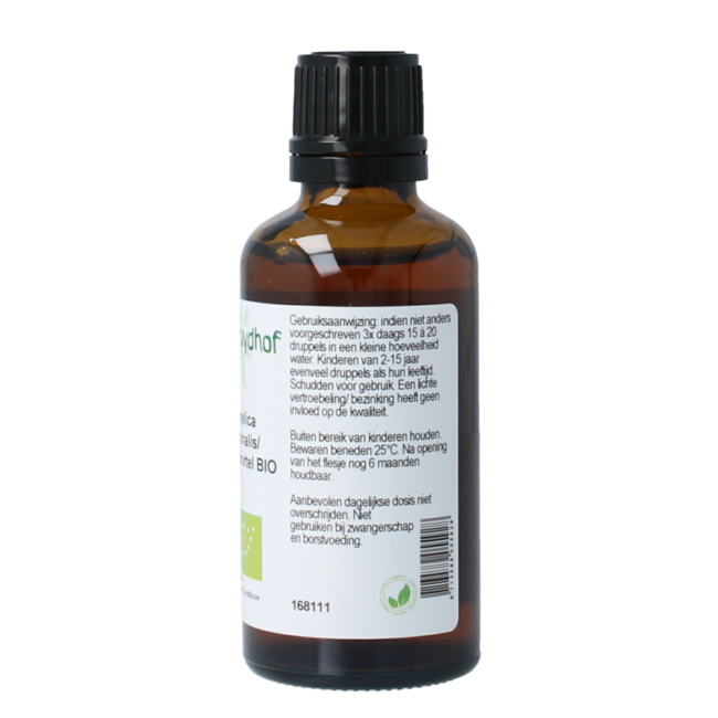 Cruydhof Angelica officinalis/angelica tincture organic 50 Millilitre