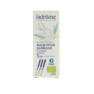 Ladrome Olio essenziale di Eucalipto Globulus biologico 10 Millilitri