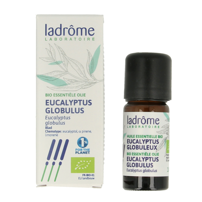 Organic Eucalyptus Globulus Essential Oil 10ml