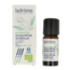 Eucalyptus globulus olie bio 10,00 mililitra