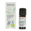 Eucalyptus globulus organic oil 10 Millilitres
