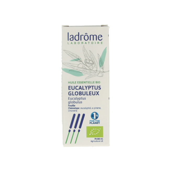 Eucalyptus globulus organic oil 10 Millilitres