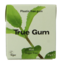 Mint sugar-free 21 Gram