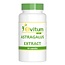 Elvitum Astragalus-Extrakt 500 mg 60 Kapseln