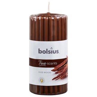 Bolsius Bolsius True Scents stompkaars geur 120/58 old wood 1 Stuks