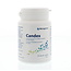 Metagenics Candex 45 Cápsulas