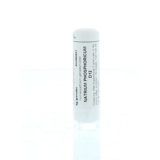 Homeoden Heel Natrium phosphoricum D12 6,00 Gramm