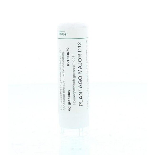 Homeoden Heel Plantago major D12 6 gramos