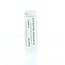 Homeoden Heel Plantago major D12 6 g