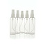 Ginkel's Sprühflasche 100 ml, 5 Stück