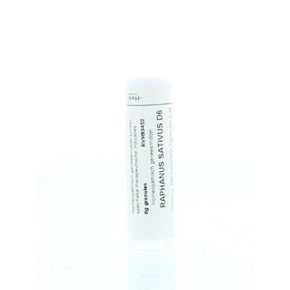 Homeoden Heel Homeoden Heel Raphanus sativus D6 6,00 Gramm