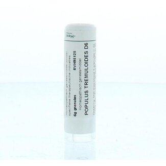 Homeoden Heel Homeoden Heel Populus tremuloides D6 6 Gramm