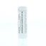 Homeoden Heel Ammonium muriaticum D6 6 Gramm