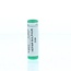 Homeoden Heel Hepar sulphur D30 1 Gram