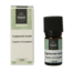 Volatile Angelica 2.5 Millilitres