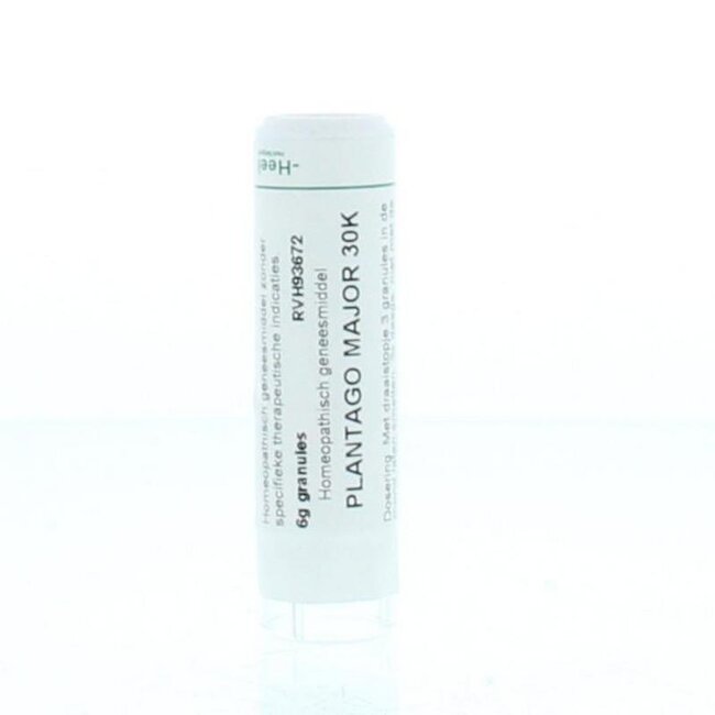 Homeoden Heel Plantago major 30K 6 Gram