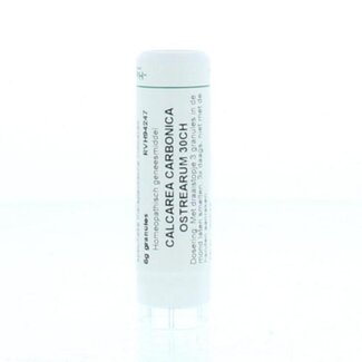 Homeoden Heel Homeoden Heel Calcarea carbonica ostrearum 30CH 6g