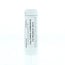 Homeoden Heel Calcarea carbonica ostrearum 30CH 6g