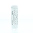 Homeoden Heel Lycopodium clavatum 30CH 6 Grams