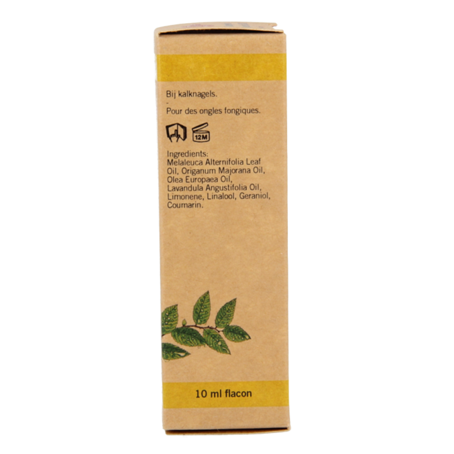 Ferula huile pour ongles abîmés 10 ml