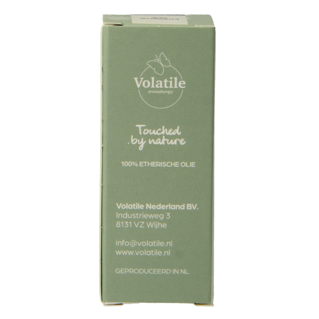 Thuja Volatile 10 ml