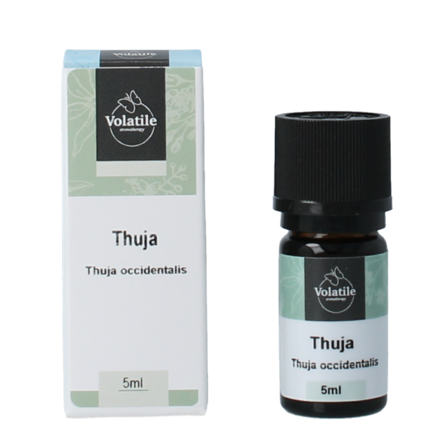 Volatile Thuja 5 Millilitri