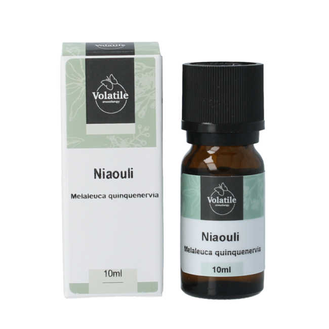 Volatile Niaouli 10 Millilitri