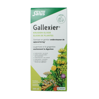 Salus Salus Artichoke Gallexier 250 Millilitres