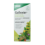 Salus Artichoke Gallexier 250 Millilitres