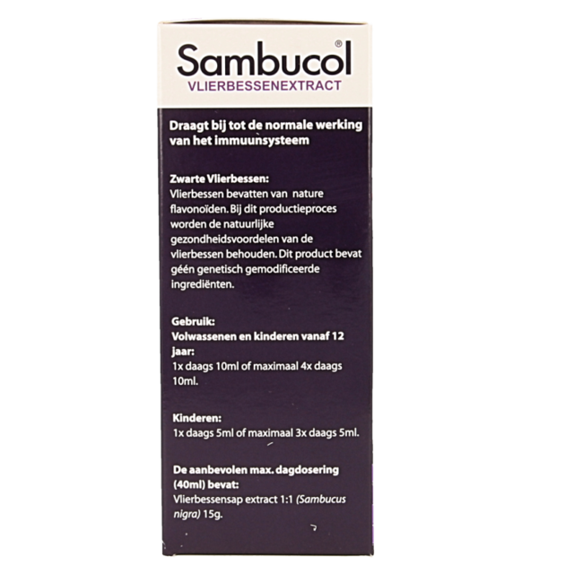 Elderberry syrup original 120 Millilitres