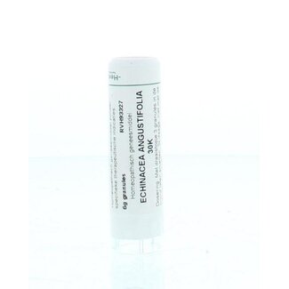 Homeoden Heel Homeoden Heel Echinacea angustifolia 30K 6 Gram